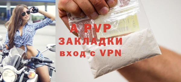 гидра Няндома