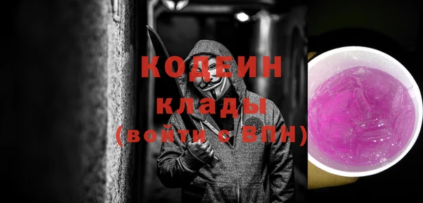 гидра Няндома