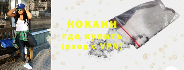 гидра Няндома