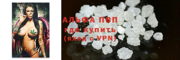 гидра Няндома