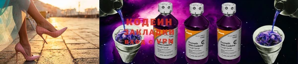 гидра Няндома