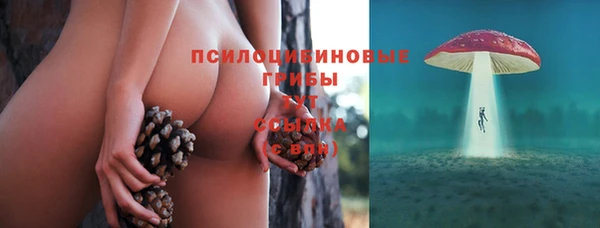 ешки Ессентукская