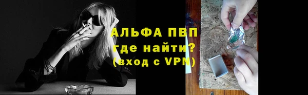 гидра Няндома