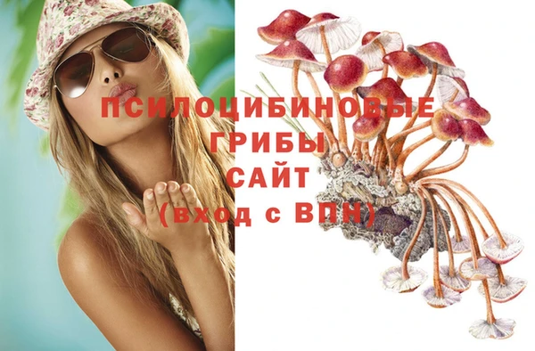 СК Нягань
