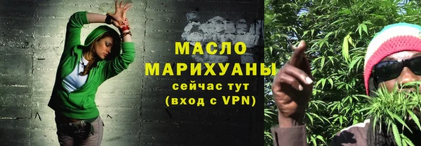 гидра Няндома