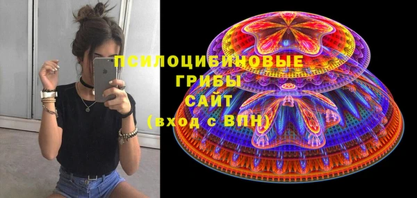 гидра Няндома