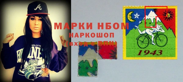 гидра Няндома