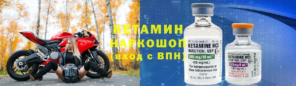 гидра Няндома