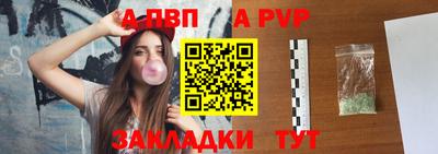 стаф Гатчина