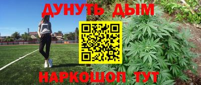 стаф Гатчина