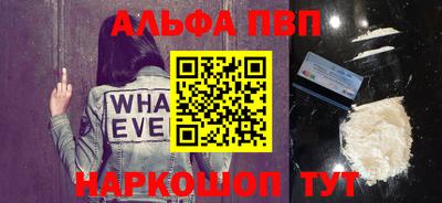 стаф Гатчина