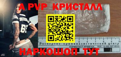 стаф Гатчина