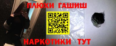 стаф Гатчина