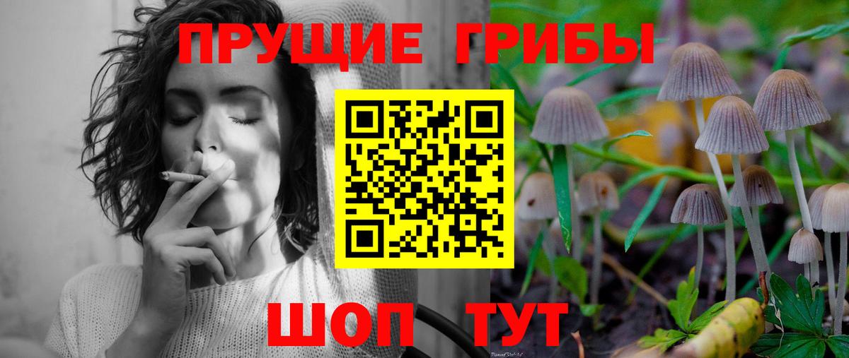 Галлюциногенные грибы прущие грибы Луховицы